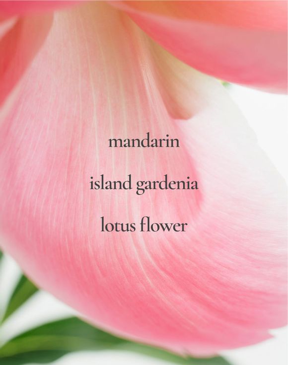 LYRD Coastal Lotus Eau de Parfum