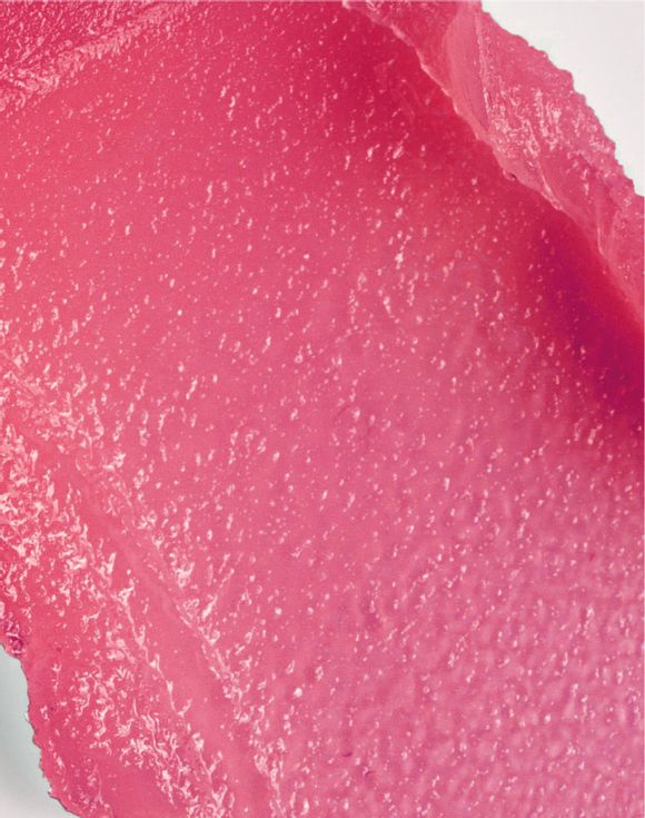 Senses Cherry Lip Balm