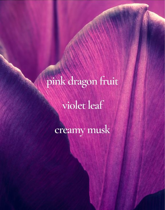 Live Out Loud Guilt Free Perfume Body Mist