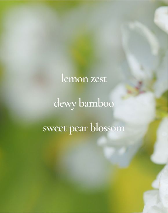 LYRD Pear Blossom & Bamboo Eau de Parfum